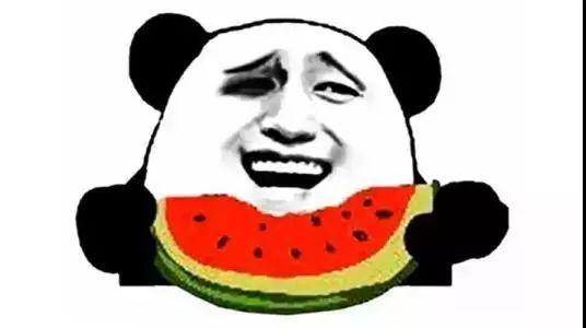 吃瓜群众音乐进行曲,欢快旋律中的社会众生相