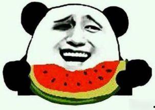 柒女神的壳儿妹吃瓜群众,揭秘吃瓜群众的狂欢盛宴