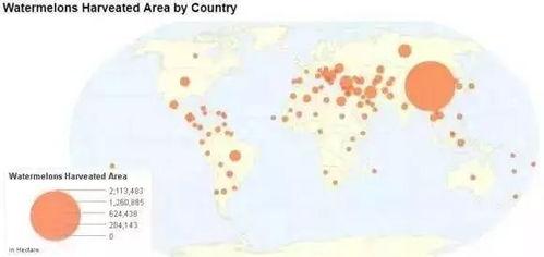 来自广西的吃瓜群众是谁,揭秘网络红人背后的故事