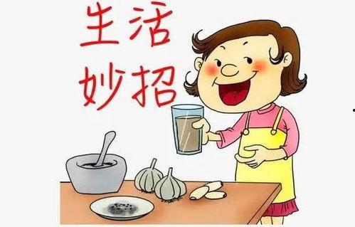 吃瓜群众生活小妙招,生活小妙招轻松解决生活难题