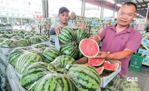 吃瓜群众多少钱一斤,吃瓜群众，价格几何？一斤多少钱？