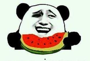 天天哥吃瓜群众是谁,网络红人的崛起之路