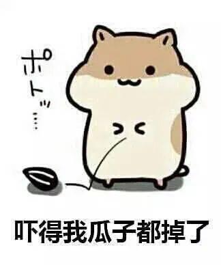 我们吃瓜群众在关注什么,吃瓜群众关注的十大社会事件