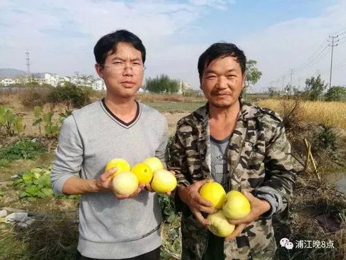 吃瓜群众0806,一场全民参与的娱乐盛宴