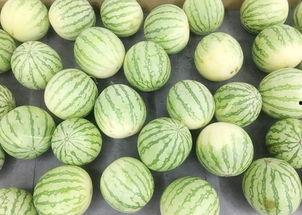 安静一个吃瓜群众的句子,吃瓜群众视角下的宁静世界