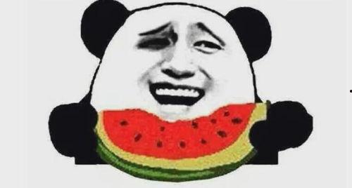 吃瓜群众二哈舔屏视频在线观看,吃瓜群众在线观看狂欢时刻