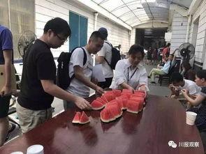 成都街头吃瓜群众,吃瓜群众的热议焦点