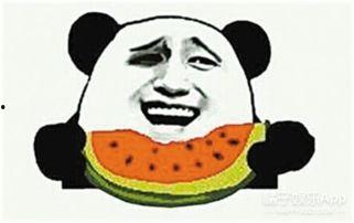 吃瓜群众女士视频大全,揭秘网络红人的幕后生活