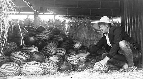 山东梁山吃瓜群众视频,揭秘山东梁山民间风情