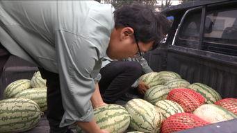 吃瓜群众真开心图片,真开心图片背后的故事