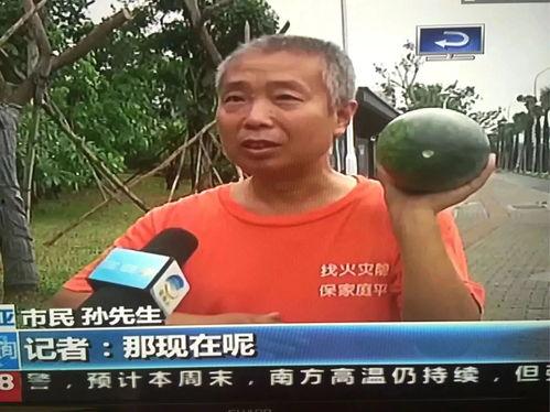 余姚吃瓜群众事件,网络舆论下的社会现象解析