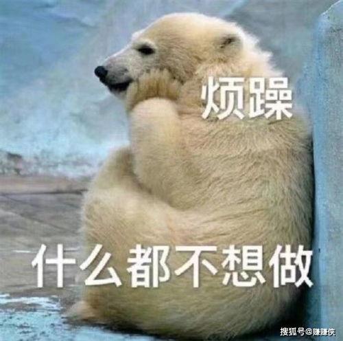 吃瓜群众书包图片大全集,趣味横生的校园生活缩影