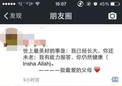 宁波吃瓜群众微信群聊,吃瓜群众热议本地新鲜事