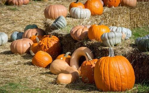 韩城群众吃瓜视频最新